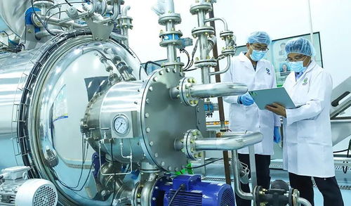 科技賦能植物工廠，張掖農(nóng)特產(chǎn)品提質(zhì)增效